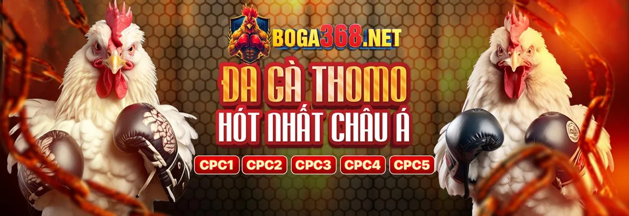 Chương trình VIP 88clup độc quyền với các ưu đãi và lợi ích cao cấp